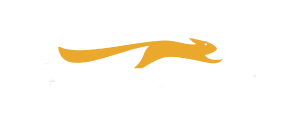 Belkasoft logo